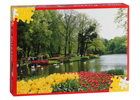 Puzzle, 1000 pieces Tulips